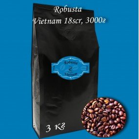 Кава зернова Robusta Vietnam 18scr C.B. 3000г